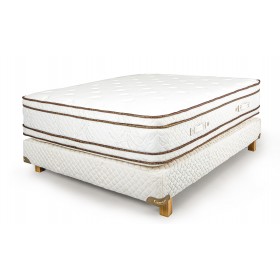 Conjunto Cannon Sublime con Pillow Top 160x200